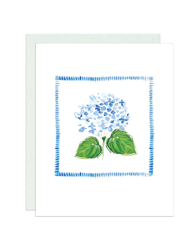 Hydrangea, Blank