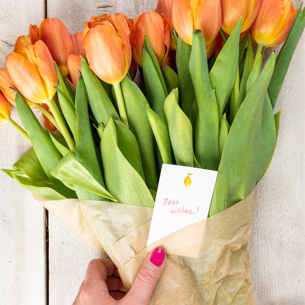 Lemon Petite Cards – Darling Lemon